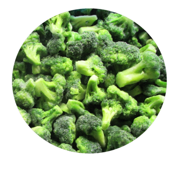 Nuevo cultivo IQF Frozen Broccoli Vegetales orgánicos Vegetales congelados
